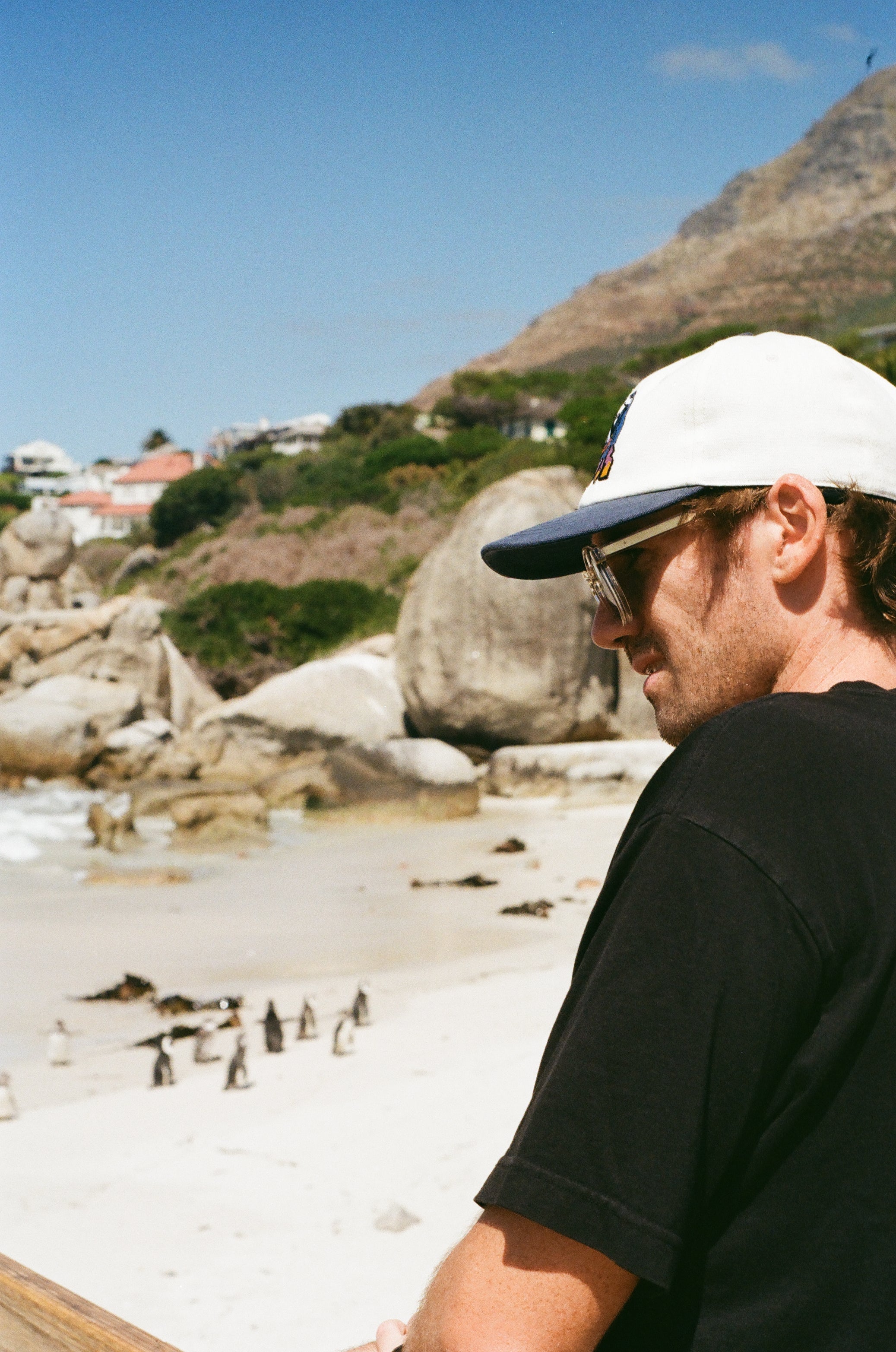 Surfing Penguin Cap
