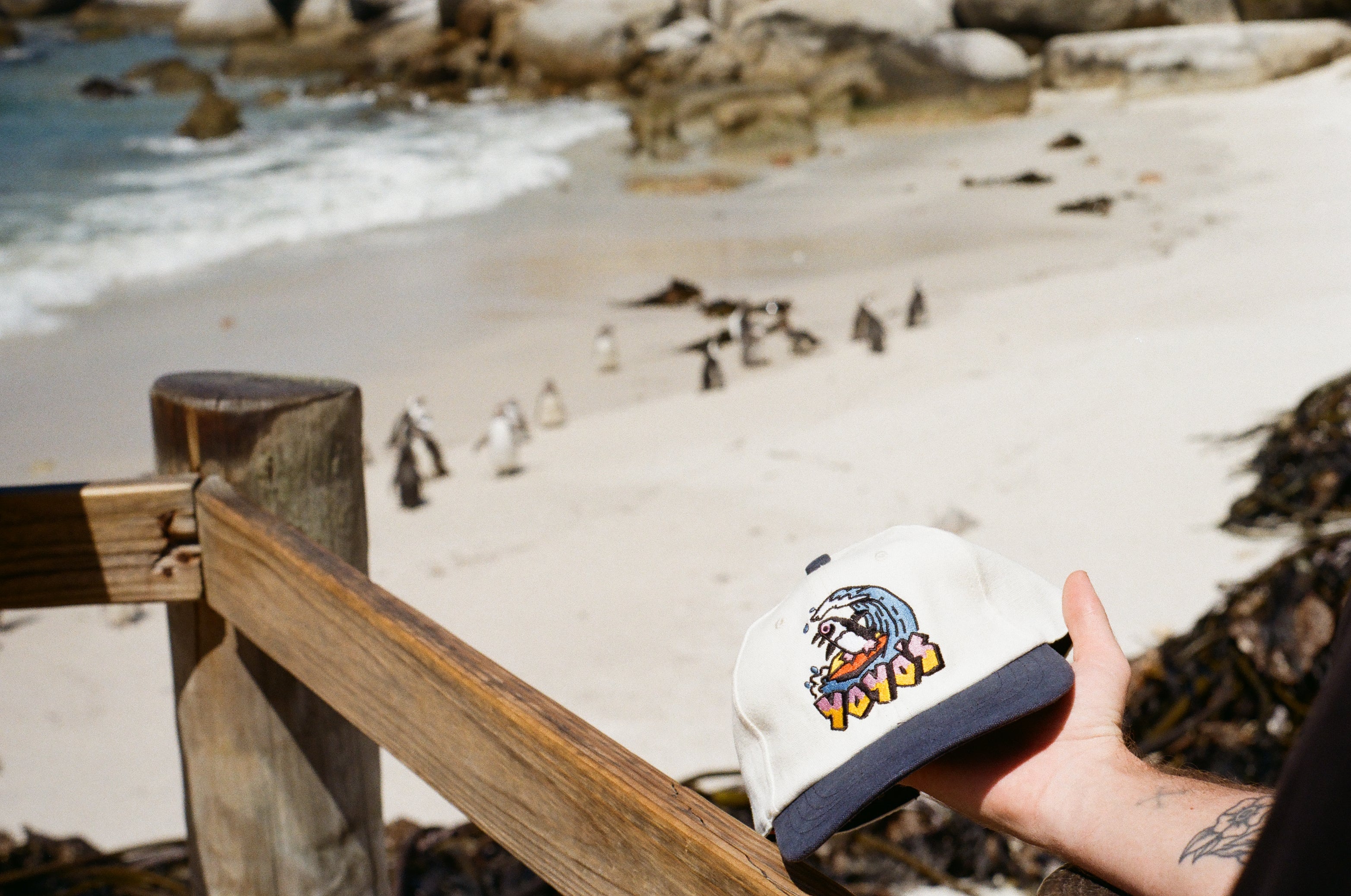Surfing Penguin Cap