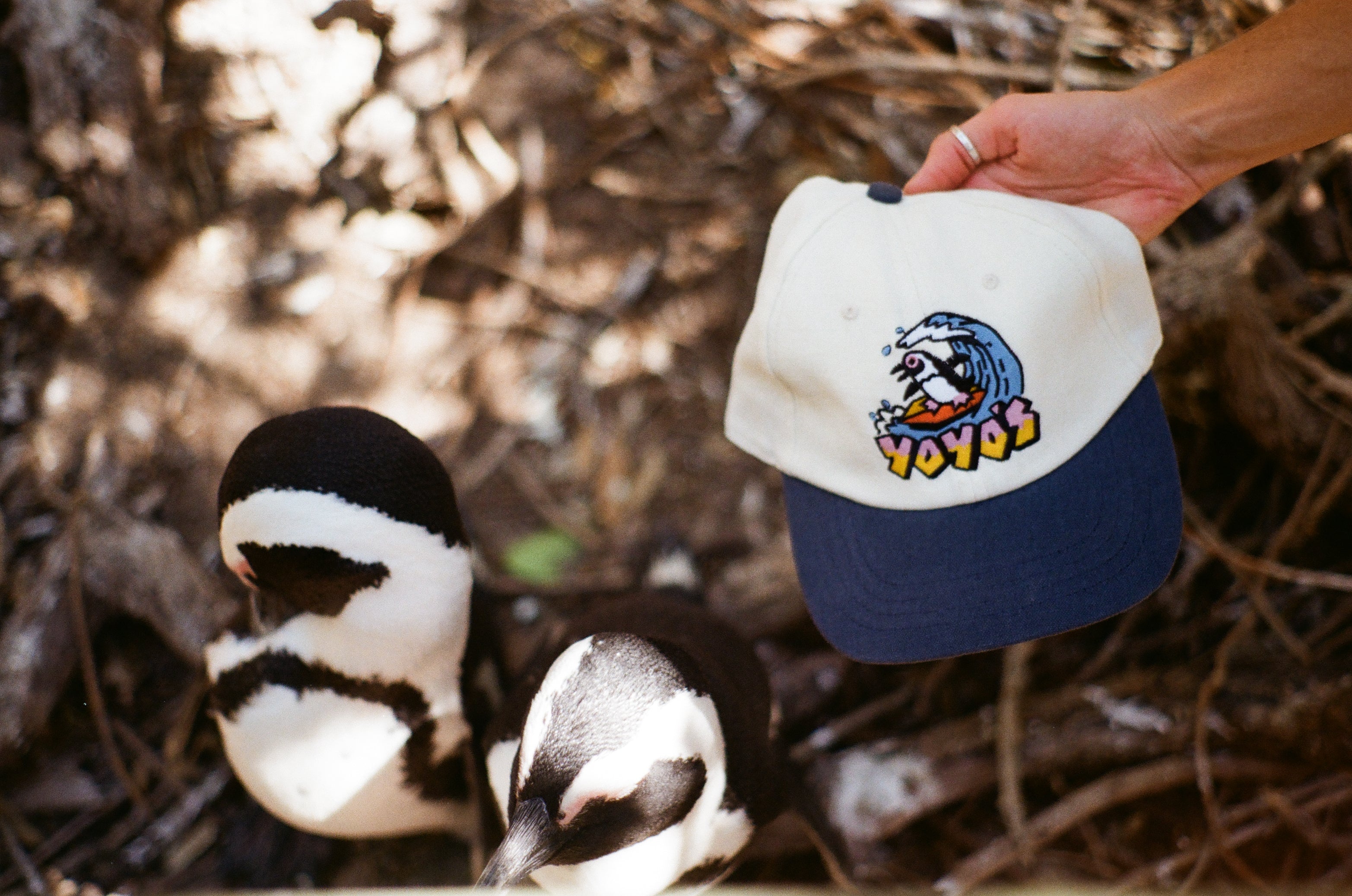 Surfing Penguin Cap