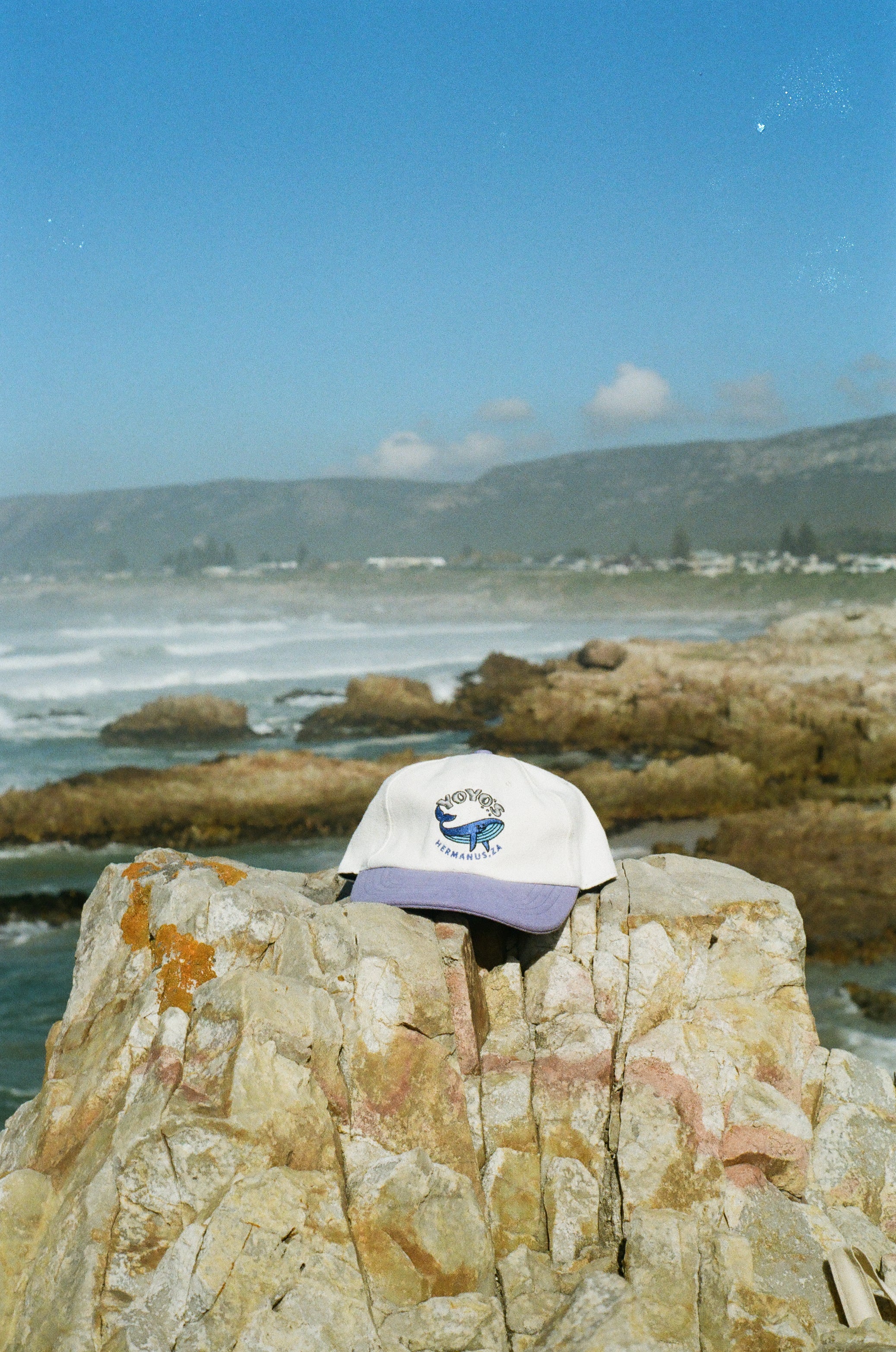 Whale Cap