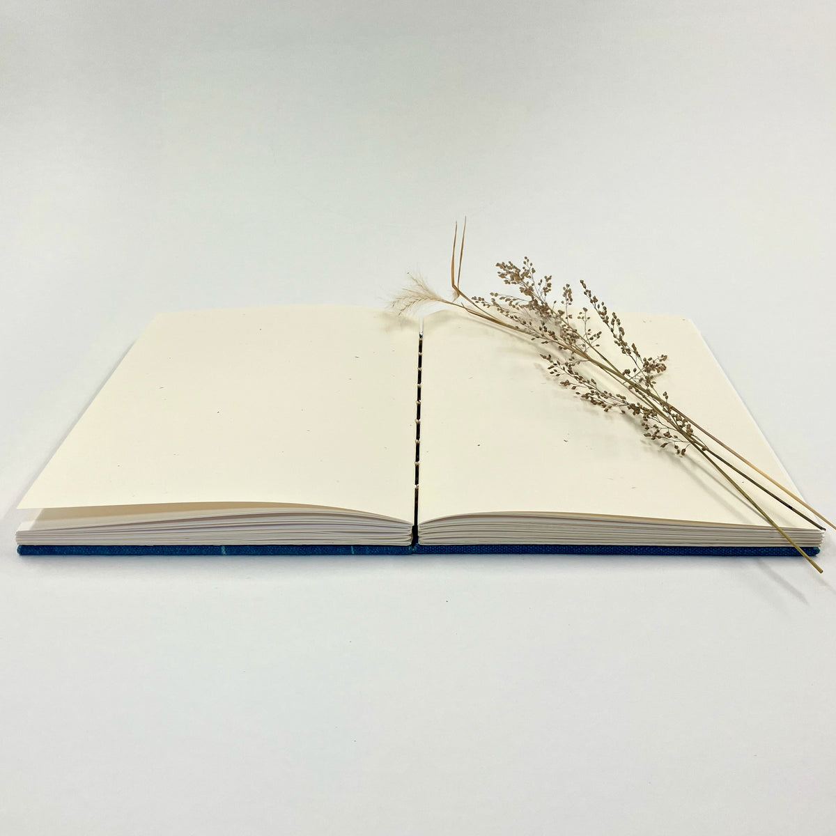 Grasslands A5