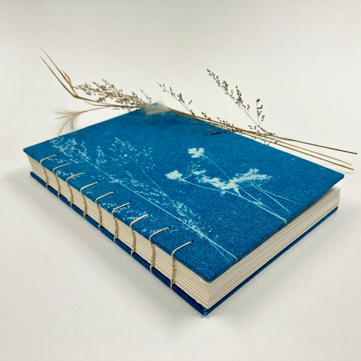 Grasslands A5