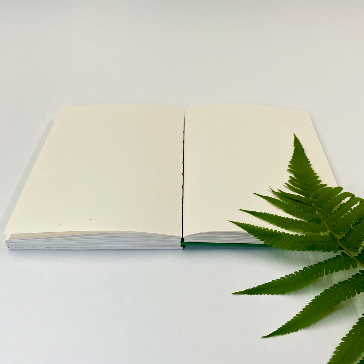 Forest Fern A5